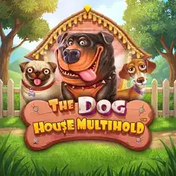 The Dog House Multihold gra w Fortuna Casino dla graczy z Polski The Dog House Multihold gra w Fortuna Casino dla graczy z Polski